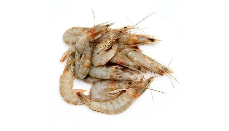 Small Prawns