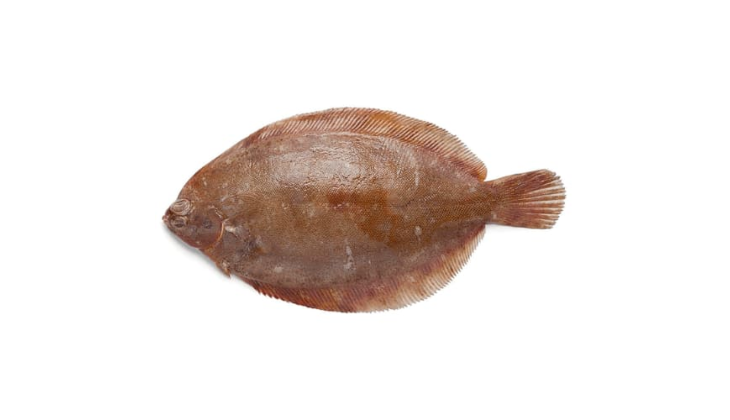 Lemon Sole (Sole)